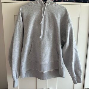 Aritzia Cozy Fleece Boyfriend Hoddie